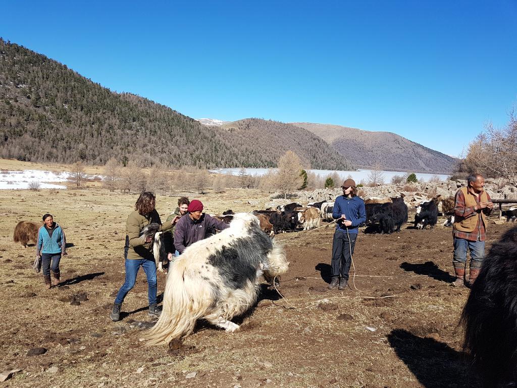 Vast Mongolia Tour & Hostel Ulan Batur Dış mekan fotoğraf